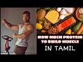 How Much Protein Per day To Build Muscle - எத்தனை புரதம் தசைகளை கட்டுவது??