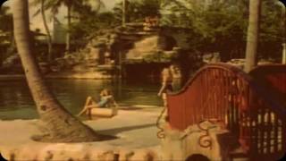 Dirty Mittens - Enemy