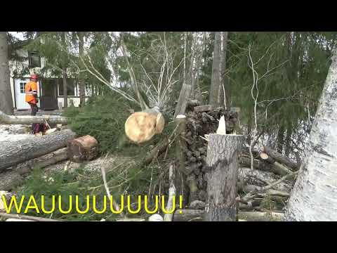 Moukan tuurilla ehjäksi jäi!