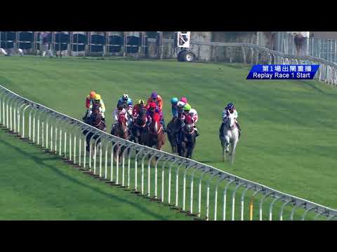 2022-01-02 Race 1(0099) - THE MILLWALL