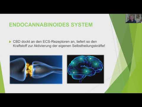 Die Pflanze des Lebens