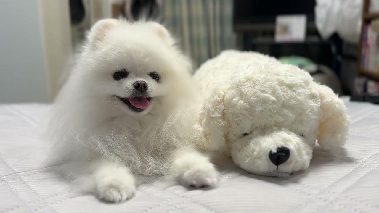 実家での未公開映像集