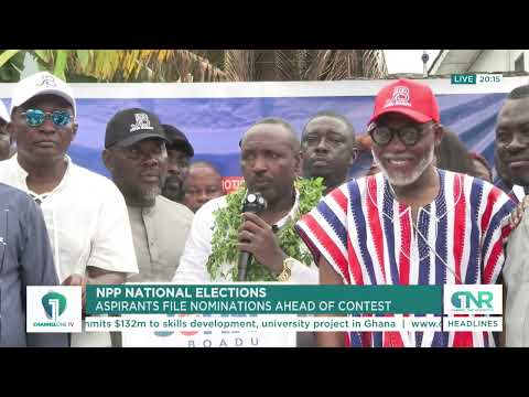 NPP National Elections: More Aspirants File Nominations As Race Intensifies