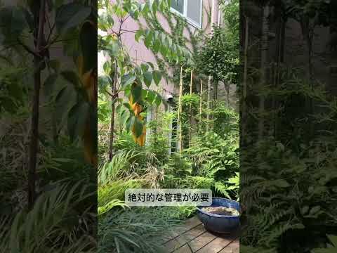 2022年の秋に何を植えるか