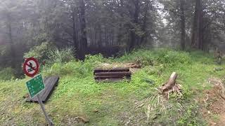 Chasing Vibes &amp; Views | Alishan Mountain