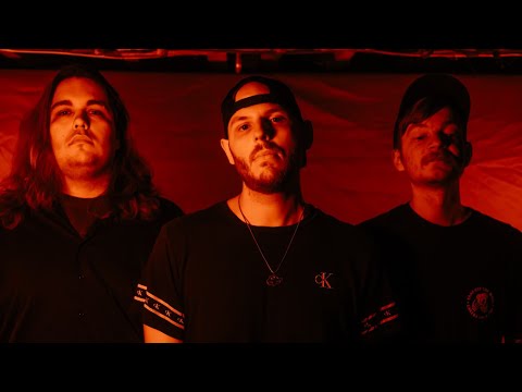 Phazed - Cardinal (Official Video)