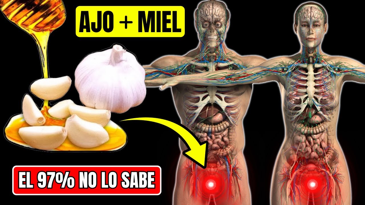 AJO CON MIEL cada mañana: ESTO es lo que pasará en 3 SEMANAS
