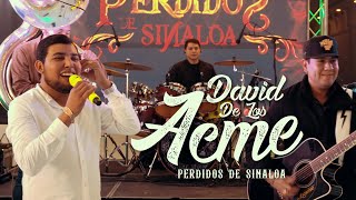 Perdidos de Sinaloa - David De Los Acme [En Vivo]