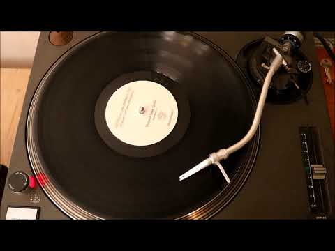 Leftfield vs. Fatboy Slim ‎– Planet Of The Phatbird - One Sided vinyl white label