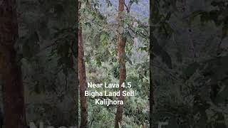  Residential Plot for Sale in Lava, Kalimpong