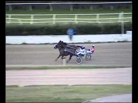 Trotto 29/01/2015 -  1° Prova di Riqualifica