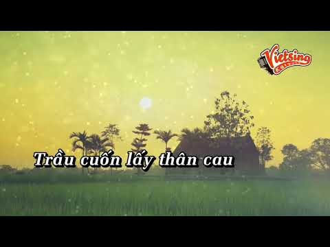Giấc Mơ Cánh Cò - Phi Nhung ft Như Quỳnh (Tone Nam) -Vietsing karaoke