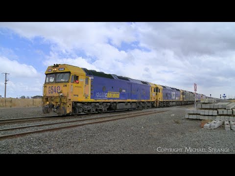 Five Locomotives On 7734V Pacific National Standard Gauge Grain Train (22/3/2023) - PoathTV Railways