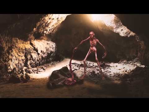 lil high lil low - IDFC! (PROD. AZKII) (OFFICIAL VISUALIZER)