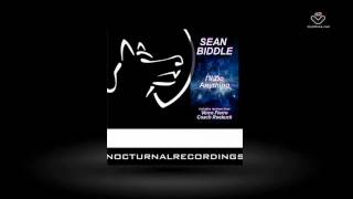 Sean Biddle - I'll Do Anything (+ Vince Feirro / Coach Roebuck Rmx)  Nocturnal Recordings