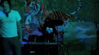 Intro/Kamino - Bearing Straight