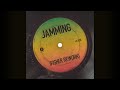 Bob Marley & The Wailers - Jamming (FISHER Rework)