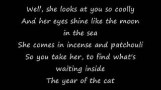 Al Stewart - Year of the Cat (studioversion with lyrics)