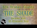 THE SHADE Karaoke - Rex Orange County Instrumental Lower Higher Female Original Key