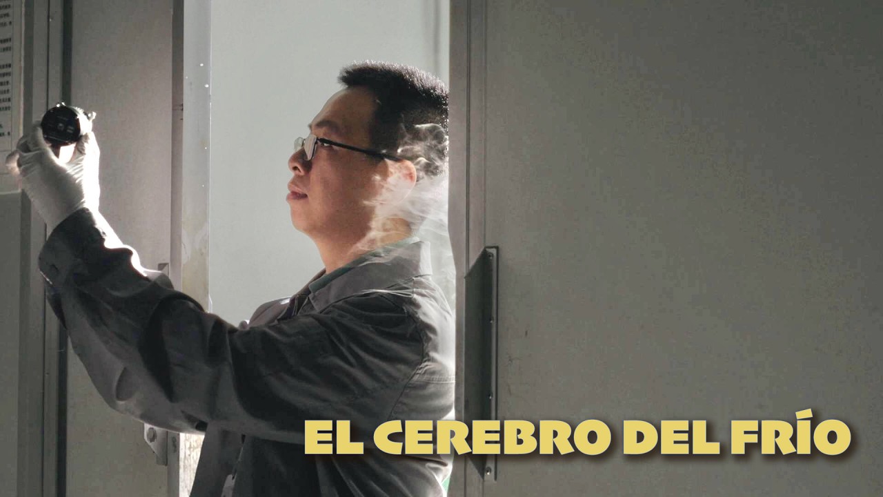 Maestro en Shenzhen | El cerebro del frío