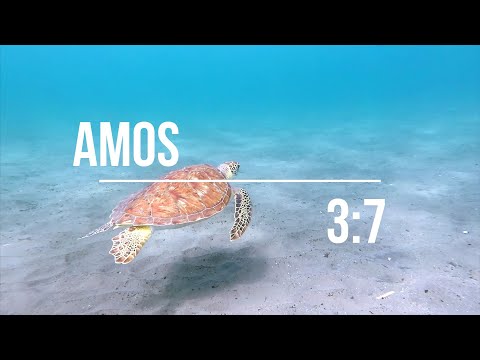 Amos 3 7 - The Suppes kids