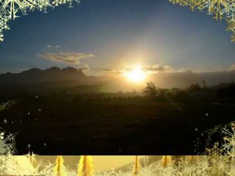 Kanu's Christmas Wishes