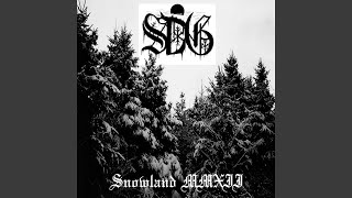 My Journey In the Black Forest / Darkness Covers The Snowland