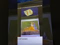 Barney The Tiger Song