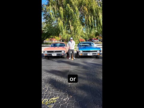 1971 Chevrolet Nova (CC-2016419) for sale in Volo, Illinois