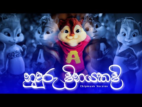 Nuduru Dinayakadi (නුදුරු දිනයකදි) | Chipmunk Version | Lyrics Video | Visha Recodz