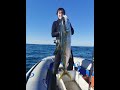 Spearfishing A BIG Yellowtail And Game Viewing On The Kariega River