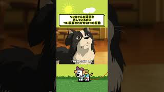 #映画 #癒し動画 #犬 #犬のいる暮らし #犬の豆知識