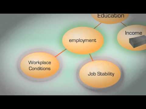 Video preview: Social Determinants of Health