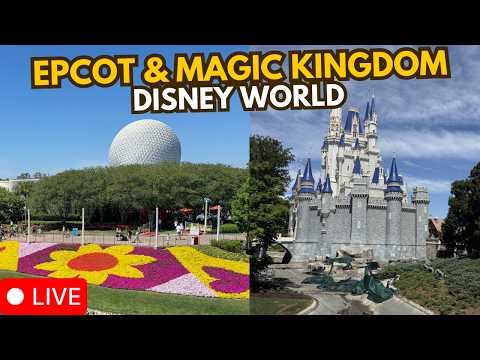 Live webcam of Disney Parks with Love