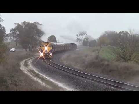 6029 BATHURST TOUR=WIMBLEDON