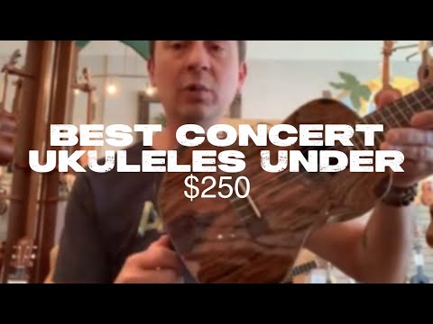 Best Concert Ukuleles Under $250