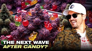 Is Candy Still King The Truth About Z Strains & Purple Hype