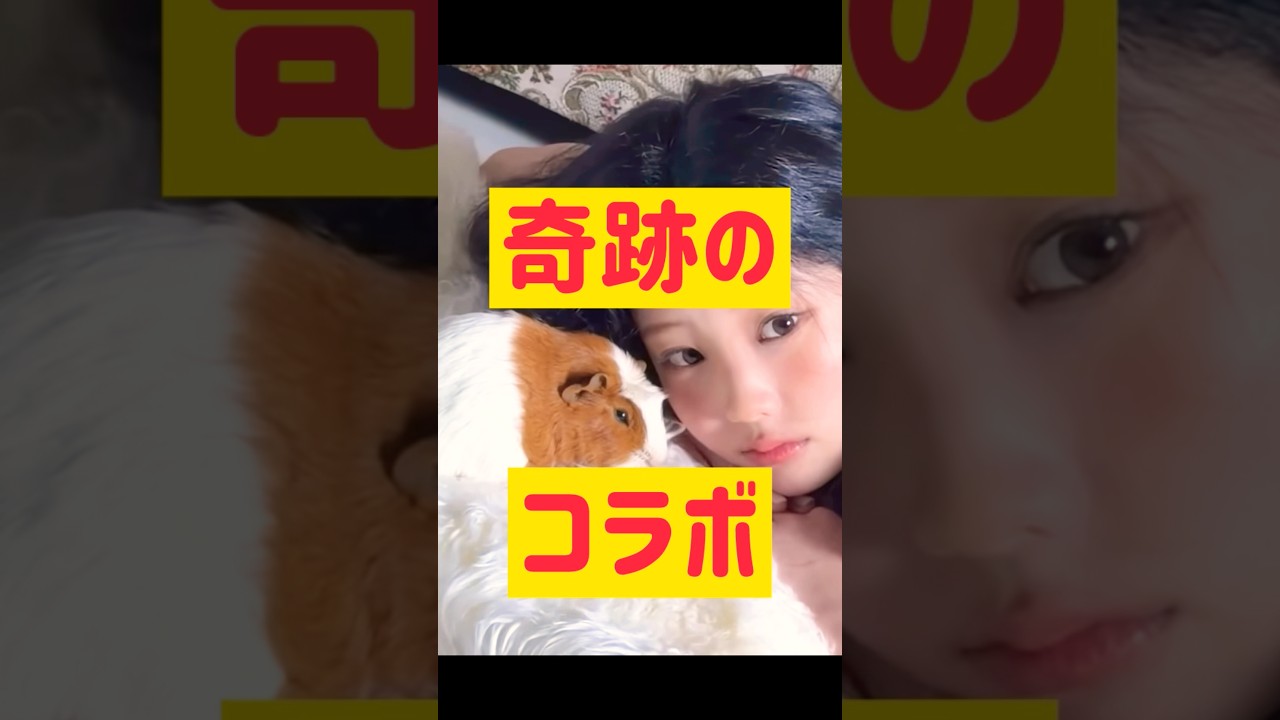 奇跡のコラボ @nanasensei777 #韓国語 #kpop #illit