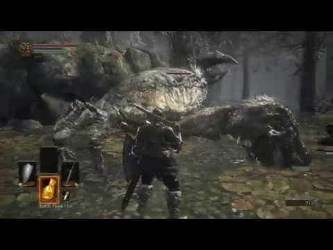 Dark Souls 3 Giant Crab Parry