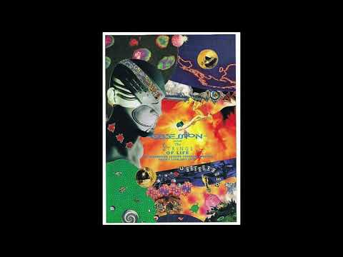 DJ Sy - Obsession: Strings of Life