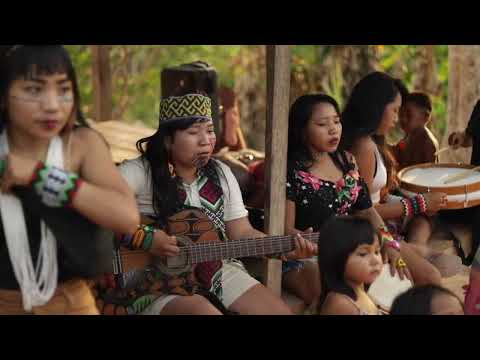 Bimi Produções and Ilex Studio