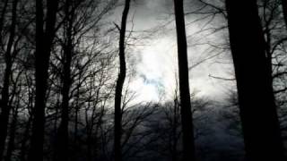 FINGERTIGHT - SATORI