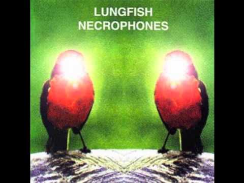 Lungfish - Hanging Bird