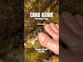 ASMR Mouth Sounds For Sleep No Talking Shorts