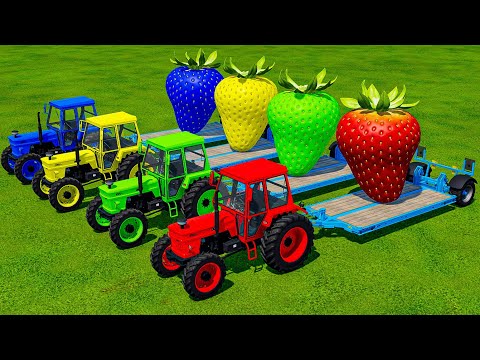 TRANSPORT GIANT COLORED STRAWBERRY WITH FIAT TRACTORS - Farming Simulator 22