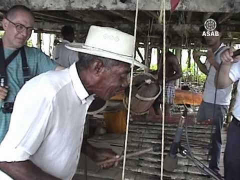 Marimberos del Guapi Cauca]