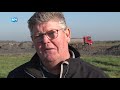 Veel Texelaars niet blij met nieuwe natuur
