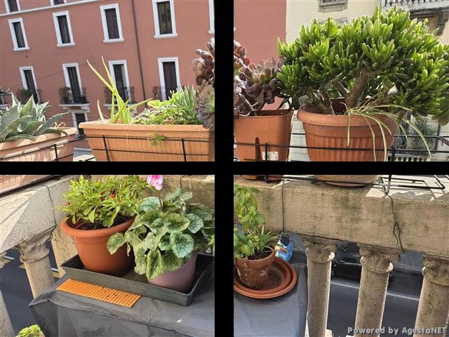 Appartamento in VENDITA PADOVA MILANO