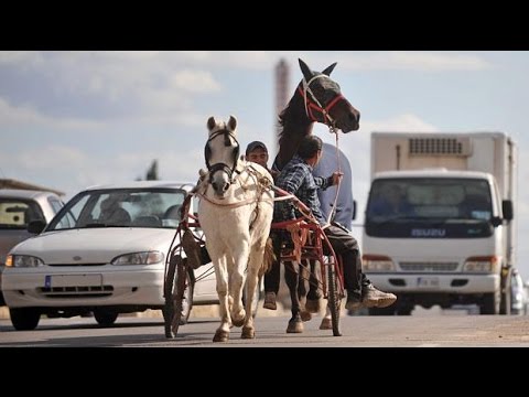 NEWS.MT | 23-01-2015