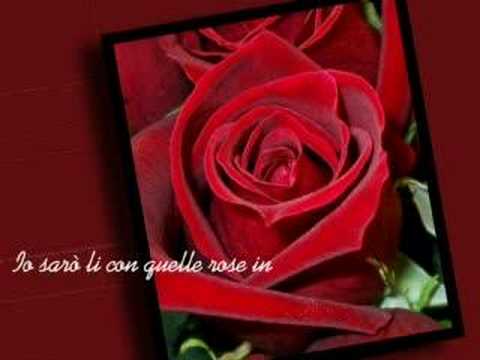 Una rosa per te